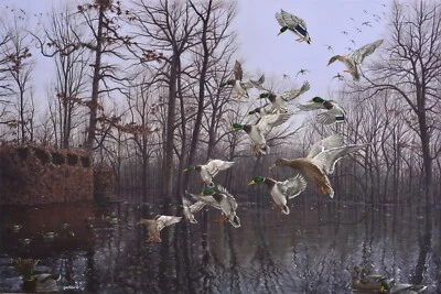 2018 Arkansas Ducks Unlimited Print Signed AP Monday Morning Mallards - Pollard