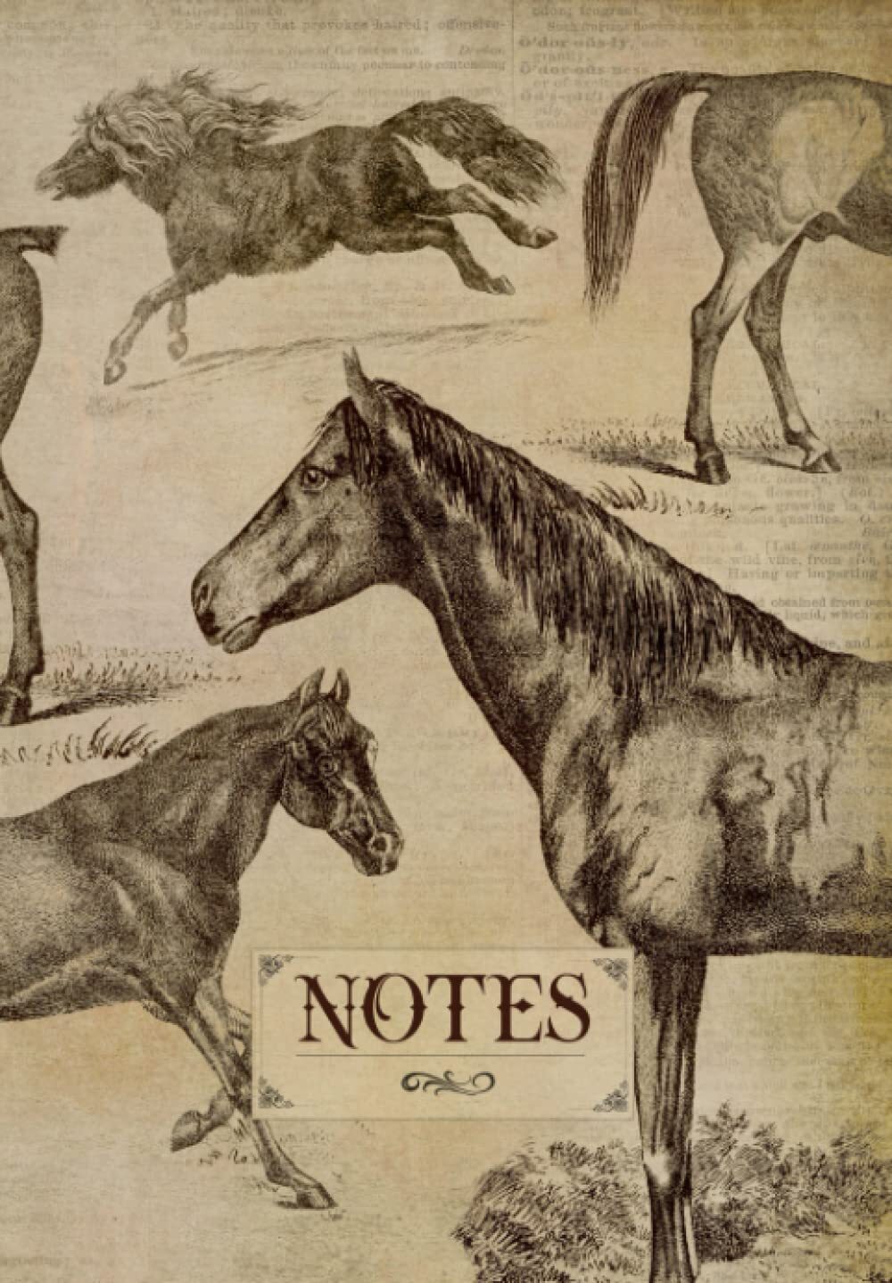 Notebook: Vintage horse notebook journal. Equestrian themed gift with horse line-image
