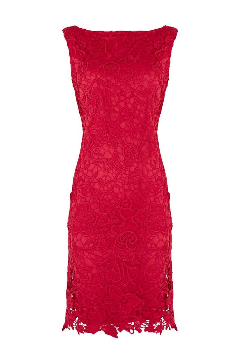 Wallis Stunning Pink Floral Lace Dress 14 | eBay