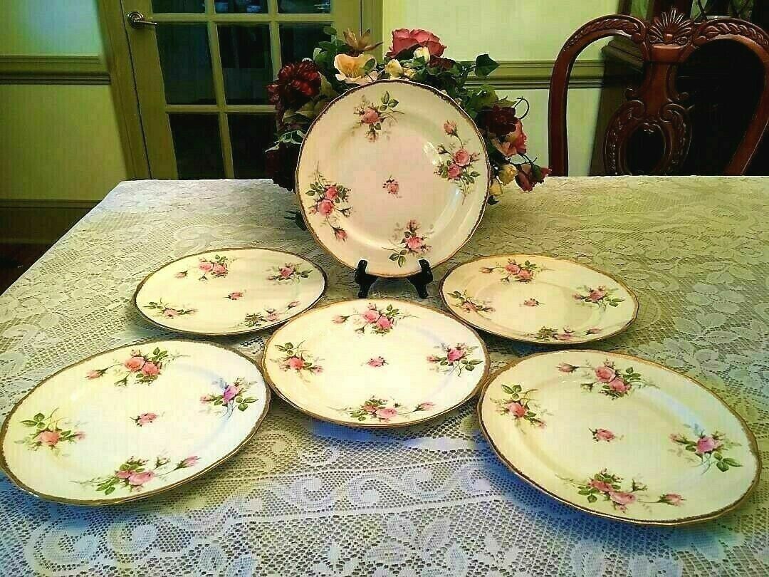 Set of 6 Pretty Vintage 1948 Moss Rose Canonsburg Dinner Plates