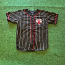 Vintage 90s Starter Chicago Bulls NBA Pinstripe Jersey