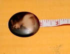 Antique German Oval Porcelain Portrait Plaque. Hand Painted. 19th Century.  — photo 6