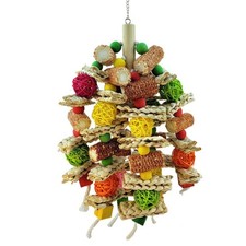  Perroquets pour  de Petite et Moyenne Taille, Gris Africain, Cac7849