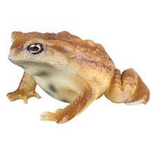 Realistic Solid Frog and Toad Animal Figurines for Kids, Educational Reptile ...