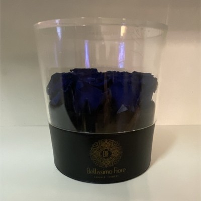 Bellissima Fiore Forever Flowers Blue Rose Flower Box Arrangement & Centerpiece