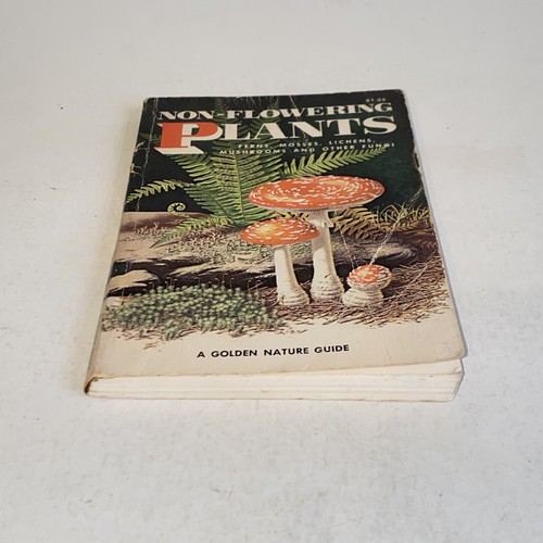 1967 Non-Flowering Plants A Golden Nature Guide Mushrooms Ferns Mosses - Picture 12 of 17