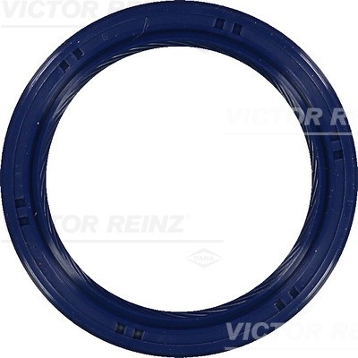 VICTOR REINZ 81-53699-00 Wellendichtring, Kurbelwelle for CHEVROLET FIAT HOLDEN