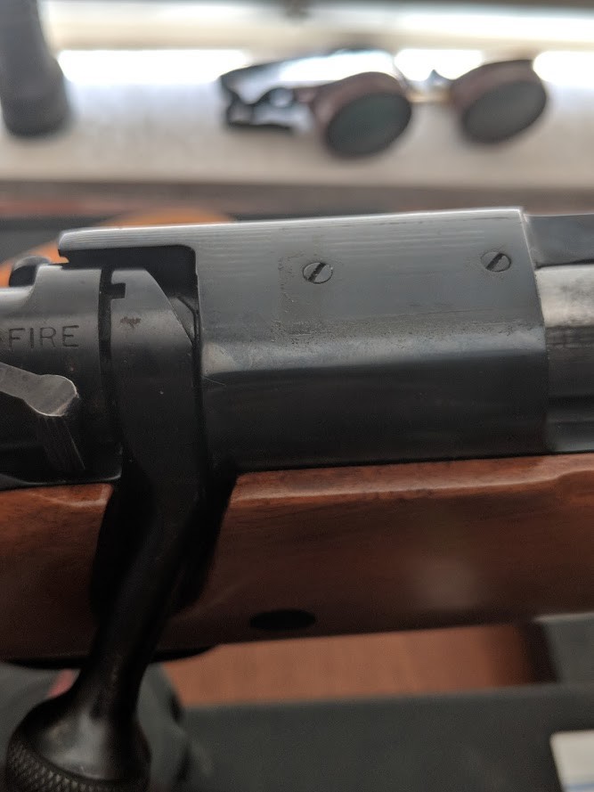 Winchester Model 70 and Remington 700 Plug Screws 648 4 blued for