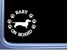 Baby On Board Dachshund Smooth L511 6 Sticker Dog Decal Baby On Board Dachshund Smooth L511 6 Sticker Dog Decal