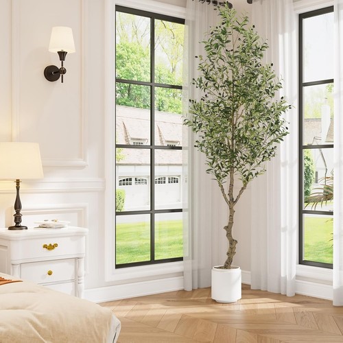 Premium Quality Potted 8ft Olive Tree with Bendable Branches - No Maintenance - Picture 7 of 11
