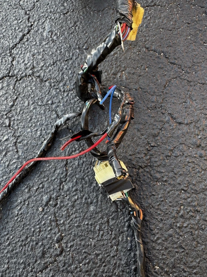 00-01 Honda CBR929RR CBR 929RRR CBR 929RRR CBR900RR Cableado Cable Corte OEM Foto 3 de 4