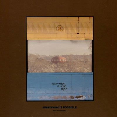 Peace Flag Ensemble - Everything Is Possible (Vinyl LP - 2025 - Original)
