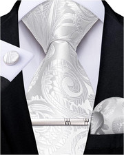 Paisley Ties for Men Silk Necktie and Pocket Square Cufflinks Tie Clip Set Woven