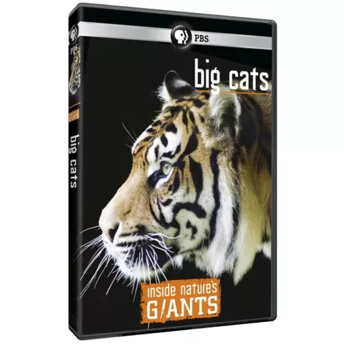 Inside Nature's Giants - Big Cats (2012) DVD PBS NEW Sealed - Imagen 1 de 3