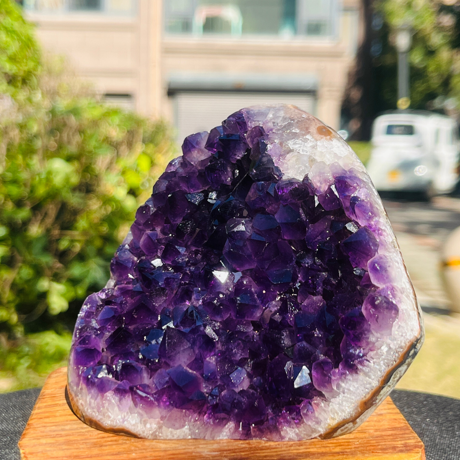 650g TOP Natural Uruguayan Amethyst Cluster Cave Display Specimen Healing 185