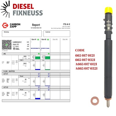 A6650170121 Common Rail Diesel Fuel Injector EJBR02601Z for Delphi Kyron