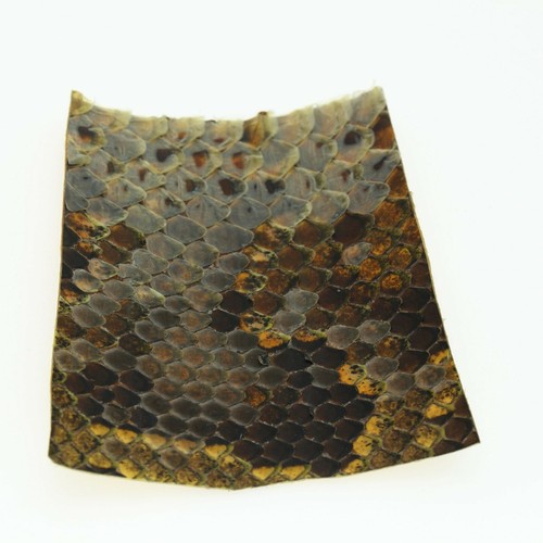 Python Hide NOT tanned Dry Wrap Blanks Snake Skin Snakeskin Craft Supply - Picture 5 of 9
