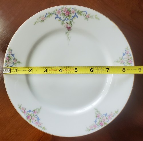 PT Bavaria Tirschenreuth 8.5" Plates c1927 THE ETON Set of 7 Floral on White - Picture 6 of 10