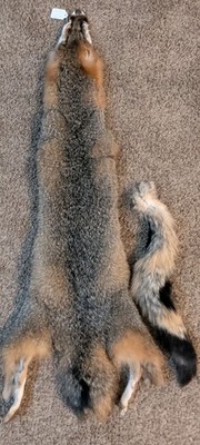 Just Tanned Grey Fox pelt~Nice Fur No 2 Pelt~ Cabin Craft~Soft Hide~Plush