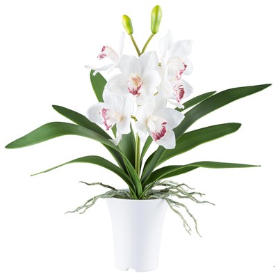 Orchidea artificiale in vaso | CH