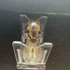 Vintage Rebel Little Suspend R Fishing Lure  — photo 2