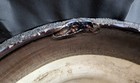 Picture 17 of 24