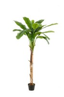 Artplants Kunstpalme Bananenbaum Bagheera, 180Cm