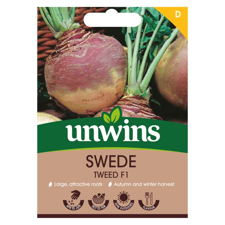 Swede Tweed F1 Unwins Easy To Grow Seeds Approx 150 seeds