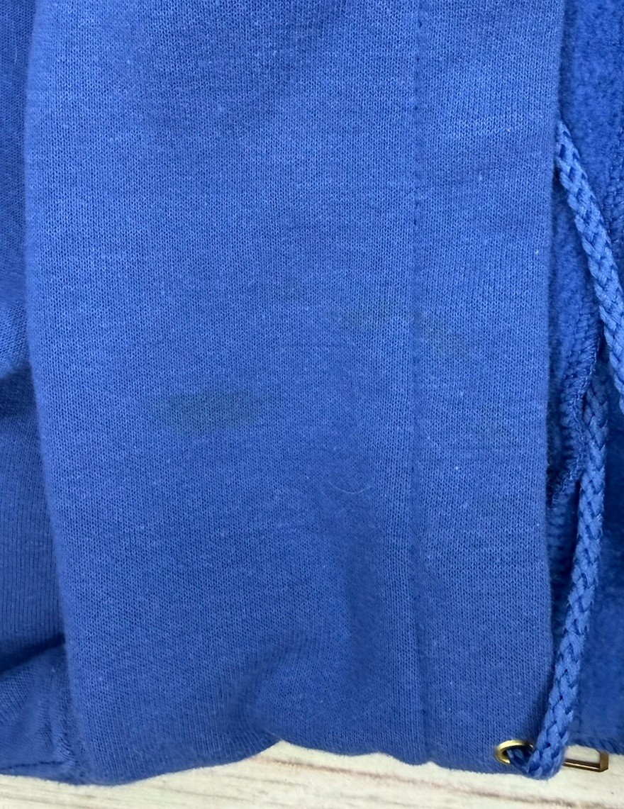 Carhartt Full Zip Hoodie Mens Sz L Workwear Blue thumbnail 16