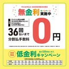 Foto 10 di 11