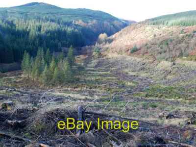 Foto 6x4 Kahlschlag im Kilmichael Wald Gortonronach Der ferne Hügel um 2006