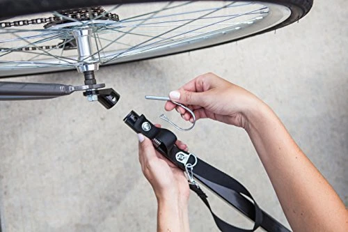 schwinn rascal plus bike trailer for dogs