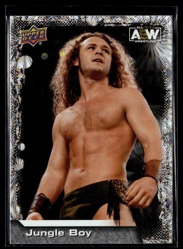 2022 Upper Deck AEW All Elite base, pyros and parallels pick from list - Picture 208 of 505