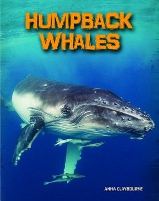 Humpback Whales (Living in the Wild: Sea Mammals),Anna Claybourn