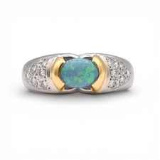  on The Hot Collector