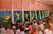 Spring Hill Florida FL : RISQUE - WEEKI WACHEE TOURIST ATTRACTION n/24 BI1408