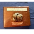 Civil War Era Original Navaho Donkey Dung Militaria Display Plaque