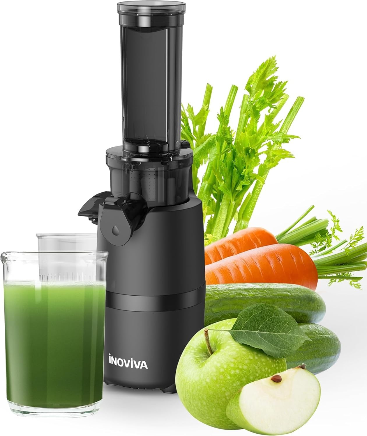 Cold Press Masticating Juicer Mini Portable Easy Clean High Juice Yield Black