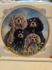 Danbury Mint Cavalier King