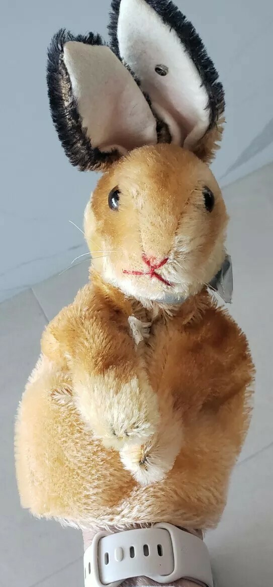 Steiff bunny rabbit puppet rare 2 ID EC vintage early US Zone Tag 1950 ...