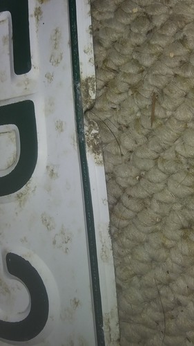 1963 63 WASHINGTON License Plate - WA # cfr 325 Vintage vehicle plates classic - Picture 5 of 7