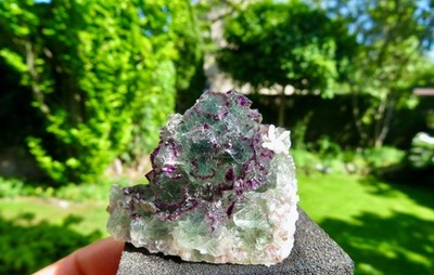   NEU!! Grün-lila Fluorit Kristalle ''Nemo Pocket'' Okorusu Mine.     