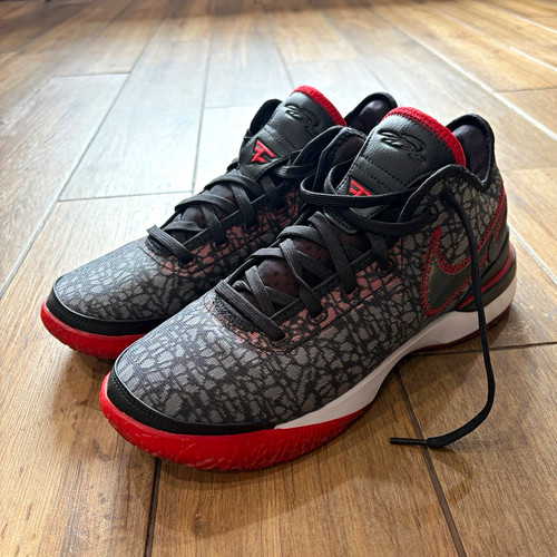 Nike FaZe Clan Zoom LeBron NXXT Gen Bred Men's Low Top DR8784-001