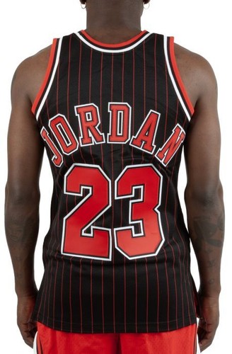 Mitchell & Ness Chicago BULLS 1995-96 MJ MICHAEL Jordan AUTHENTIC STRIPES JERSEY - Picture 8 of 12