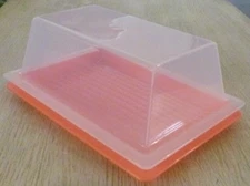 Tupperware 2 Pound Butter or Cheese Container Large Clear Lid & Guava Base New
