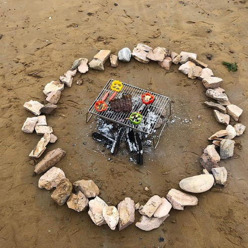 17" Large Folding Campfire Grill 304 Stainless Steel Firepit Grill Grate Heavy D - Picture 7 of 7