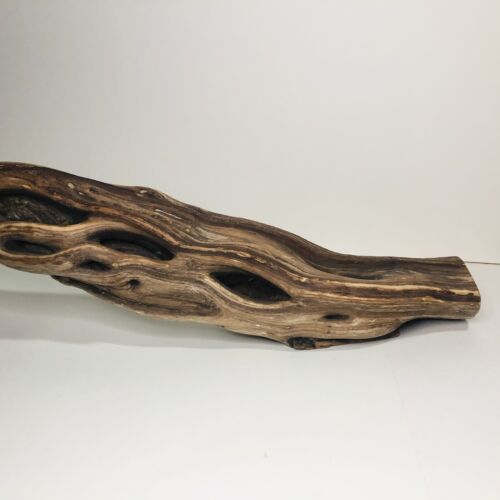 Manzanita Wood Branch Reptile Terrarium Decor Air Plant Display - Picture 2 of 10