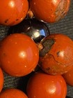 Foto 6 di 8