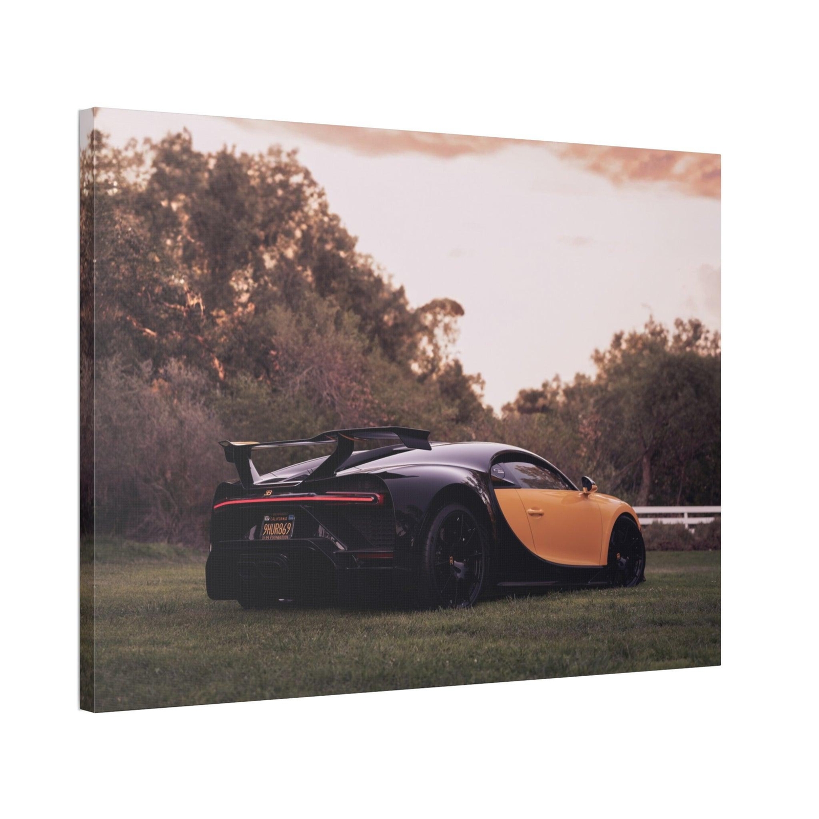 Picture 1 of 10