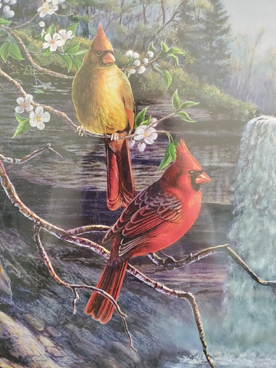 Heritage Cardinals 1000+ Larger Size Pc Jugsaw PUZZLE James Meger